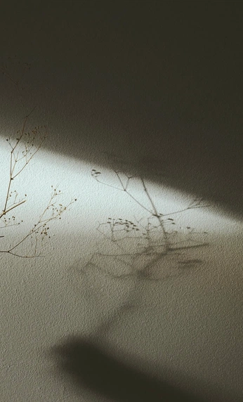 A cover of "Mood" cluster. The owner is nataliapek. The cluster consists of 137 elements.