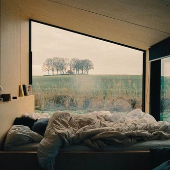 A cover of "this, that, all of it" cluster. The owner is marsaqib. The cluster consists of 14 elements.