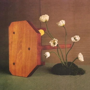 A cover of "plantas." cluster. The owner is cabadebeira. The cluster consists of 7 elements.