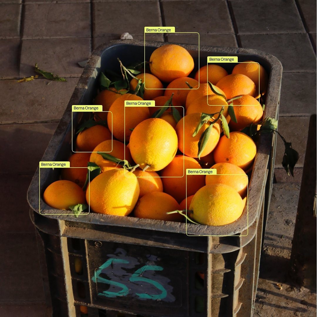 Project Orange