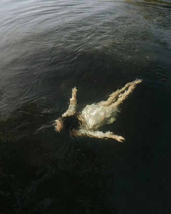 A cover of "sl0th" cluster. The owner is vapidvixen. The cluster consists of 144 elements.