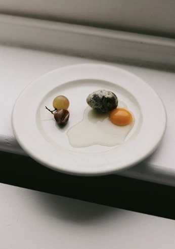 A cover of "Still Life" cluster. The owner is nicolajane. The cluster consists of 15 elements.