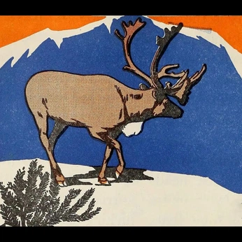 A cover of "caribou poster" cluster. The owner is jaybo. The cluster consists of 18 elements.