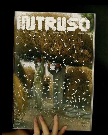 A cover of "Magazines" cluster. The owner is blonke. The cluster consists of 1 element.