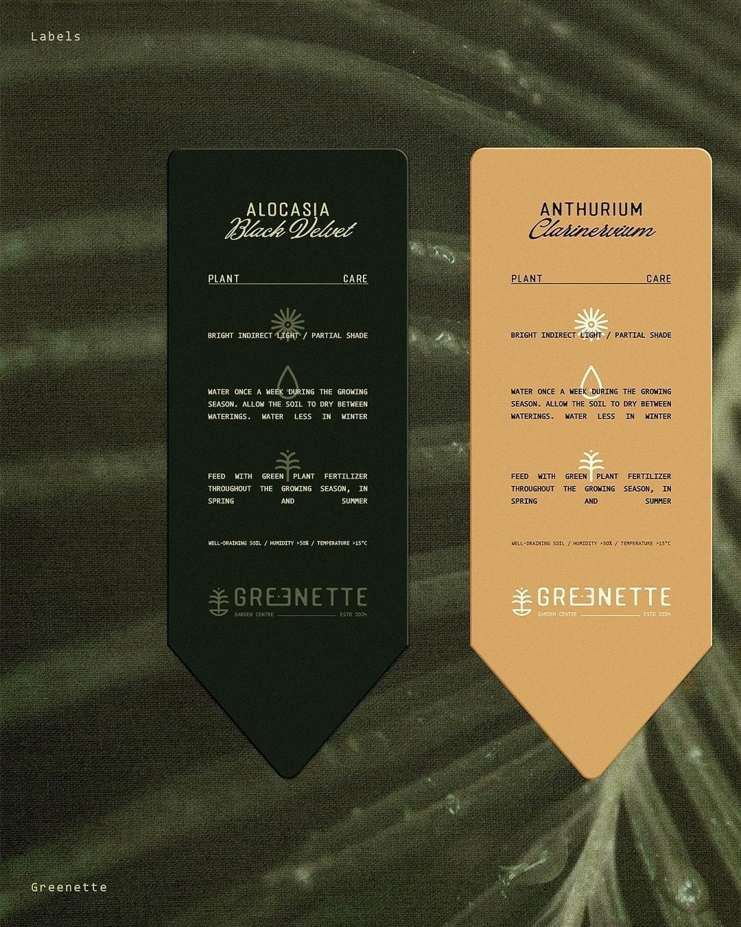 An Instagram carousel post added by 6 on Oct 31, 2024. The author is @designerbriefs.