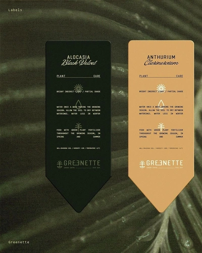 An Instagram carousel post added by 6 on Oct 31, 2024. The author is @designerbriefs.