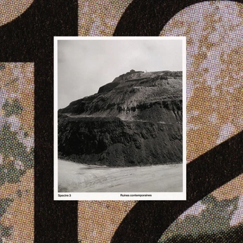 A cover of "Inspiration" cluster. The owner is donnerjack. The cluster consists of 54 elements.