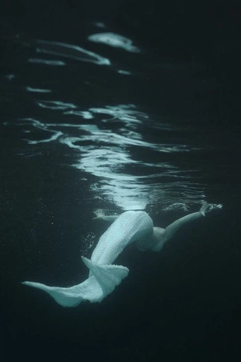 A cover of "Jax" cluster. The owner is skywartooth. The cluster consists of 27 elements.