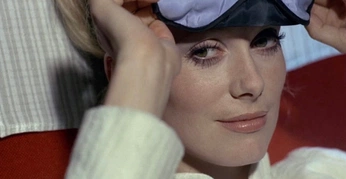 A cover of "feminity" cluster. The owner is const8. The cluster consists of 14 elements.