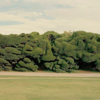 A cover of "3" cluster. The owner is cheukllor. The cluster consists of 7 elements.