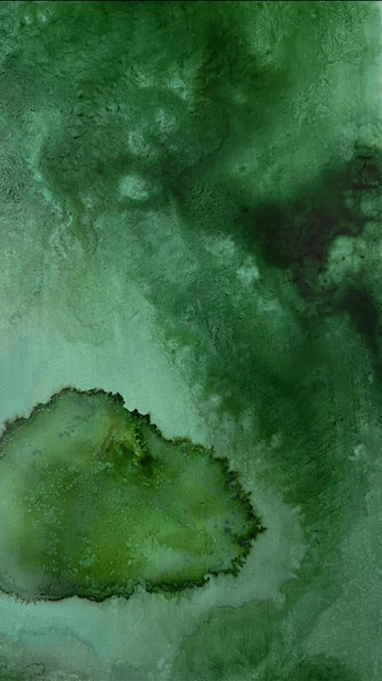 A cover of "DOCUMENT PROCESS" cluster. The owner is paulamatellano. The cluster consists of 27 elements.