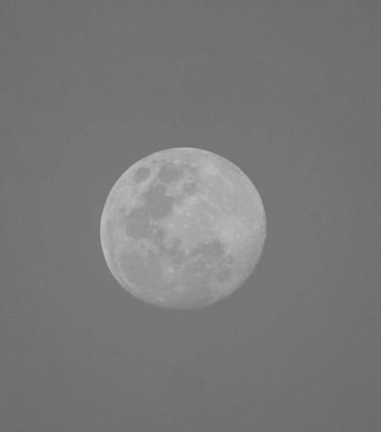 A cover of "E" cluster. The owner is ellakcoffey. The cluster consists of 268 elements.