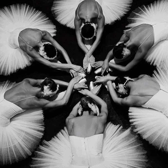 A cover of "PROJECT JEWELS" cluster. The owner is cc14288. The cluster consists of 7 elements.