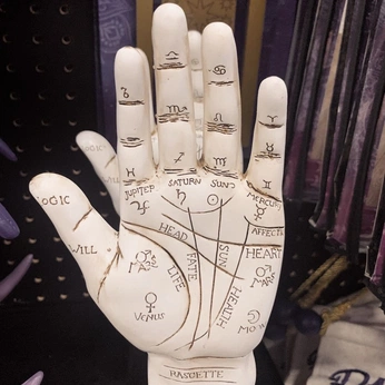 A cover of "spirit halloween" cluster. The owner is ki1519. The cluster consists of 16 elements.