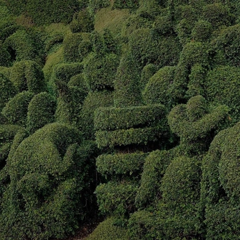 A cover of "Natural connection" cluster. The owner is thelisaster. The cluster consists of 18 elements.