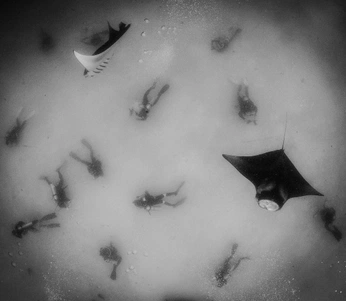 A cover of "World" cluster. The owner is bradleesantos. The cluster consists of 39 elements.