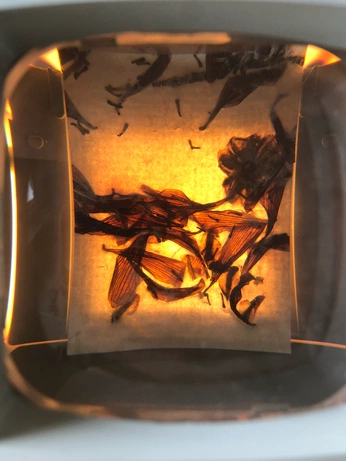 A cover of "ART SHIT" cluster. The owner is jportillo. The cluster consists of 2 elements.