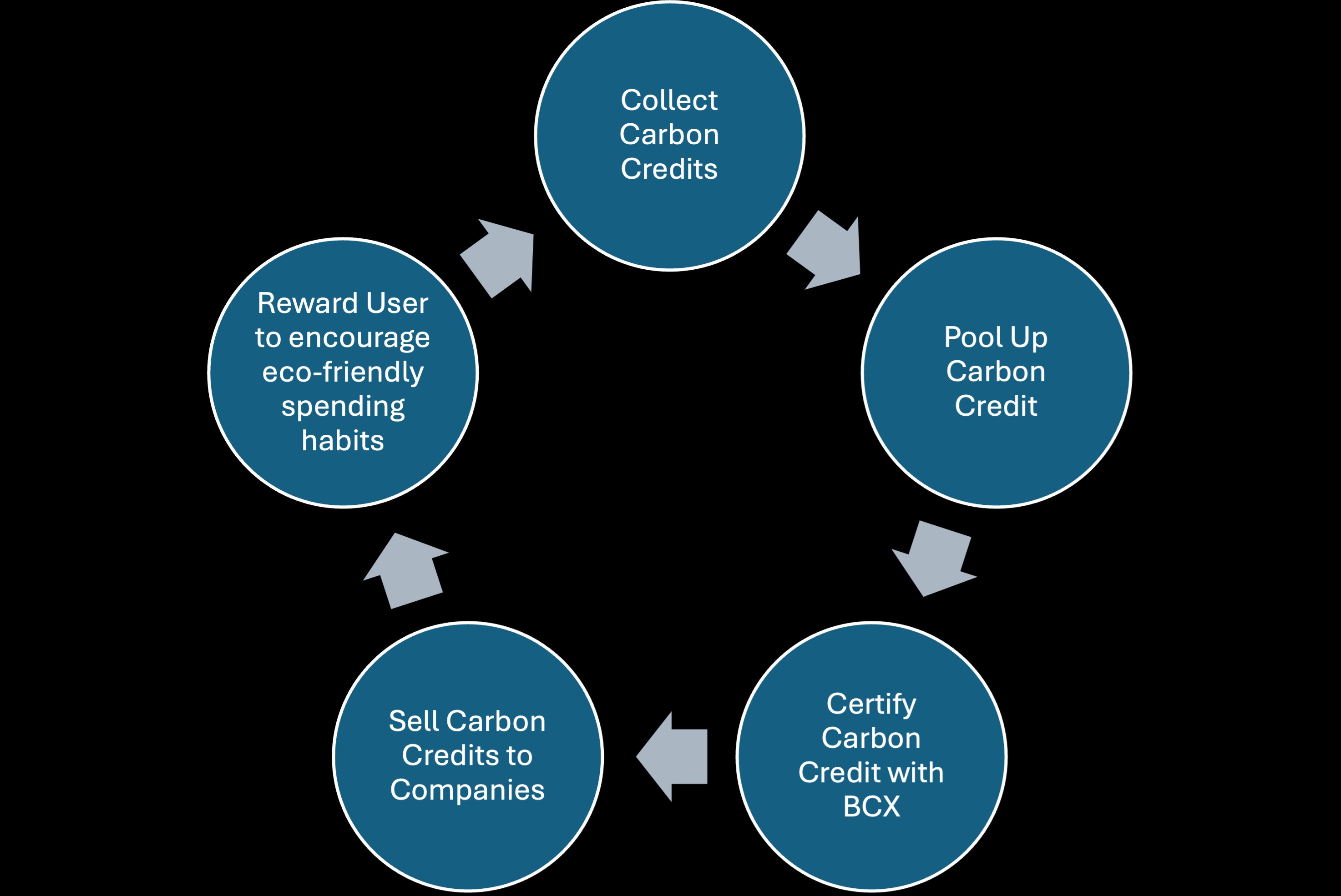 The whole business plan of eco-finance