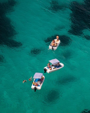 A cover of "MOODBOARD" cluster. The owner is oscaralejandro. The cluster consists of 4 elements.