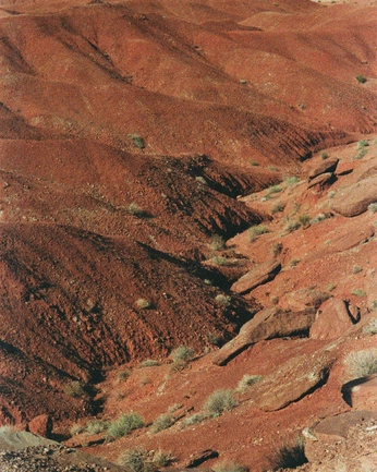 A cover of "Land" cluster. The owner is ellychic. The cluster consists of 3 elements.