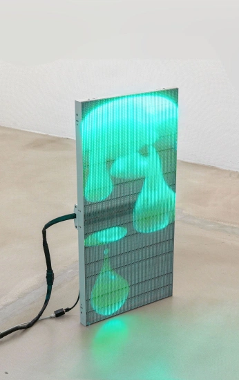 A cover of "Digitalis" cluster. The owner is murrayaitken. The cluster consists of 3 elements.