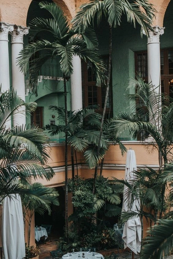 A cover of "Hacienda Cambranes" cluster. The owner is dcambranes. The cluster consists of 37 elements.