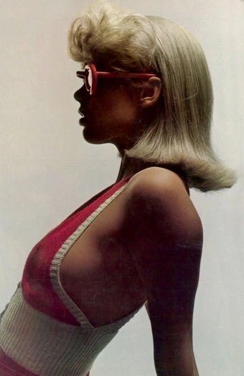 A cover of "80’s outfit" cluster. The owner is lucixel. The cluster consists of 80 elements.