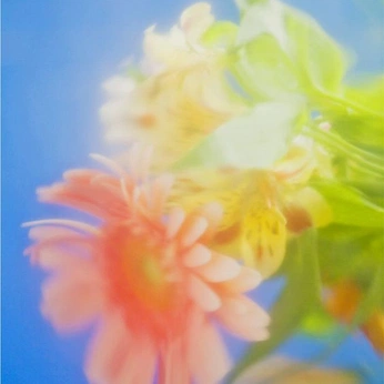 A cover of "vibrance" cluster. The owner is amydavidson. The cluster consists of 43 elements.