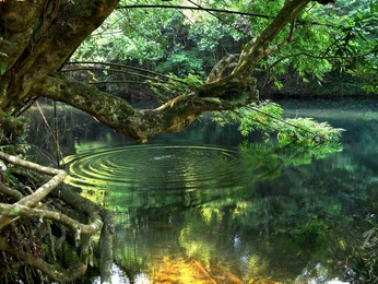 A cover of "labe" cluster. The owner is labedesigns. The cluster consists of 3 elements.