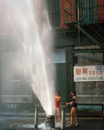 A cover of "roma- downtown heatwave" cluster. The owner is offline.media. The cluster consists of 13 elements.