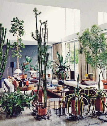 A cover of "Gewächshaus" cluster. The owner is floralola. The cluster consists of 8 elements.