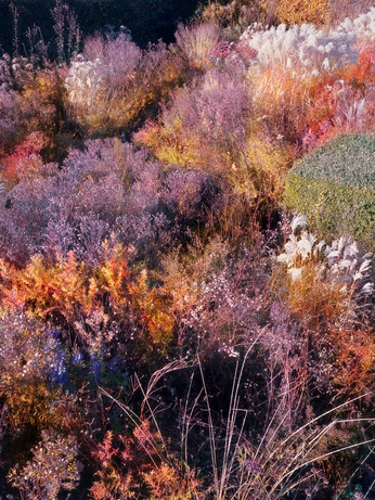 A cover of "Colors" cluster. The owner is ceciliebsh. The cluster consists of 8 elements.