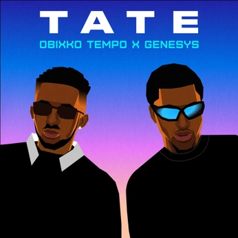 A cover of "Design Portfolio" cluster. The owner is adekolu. The cluster description is "Highlights of my recent client work in graphic design". The cluster consists of 85 elements.