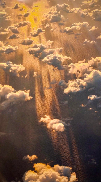 A cover of "One Ocean" cluster. The owner is sheepparsley. The cluster consists of 1 element.