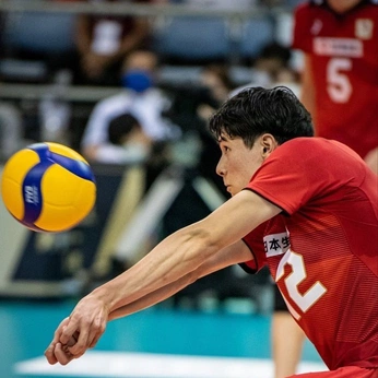 A cover of "volleyball" cluster. The owner is biamazzanti. The cluster consists of 33 elements.