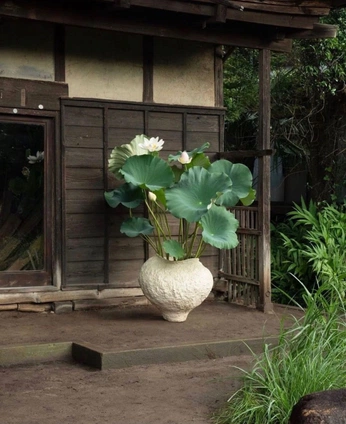 A cover of "Japan" cluster. The owner is slowroads. The cluster consists of 2 elements.