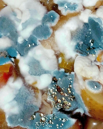 A cover of "Dreams" cluster. The owner is vernongodlittle. The cluster consists of 70 elements.