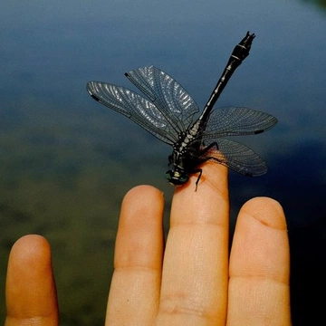 Cover of multi-COLOUR-verse :: cluster