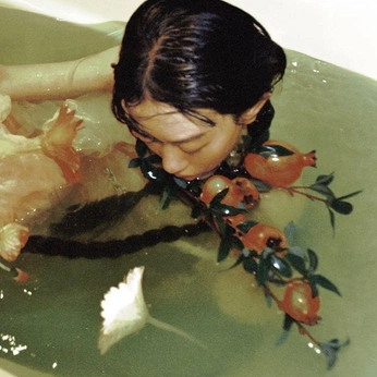 A cover of "photography" cluster. The owner is nicolek. The cluster consists of 14 elements.