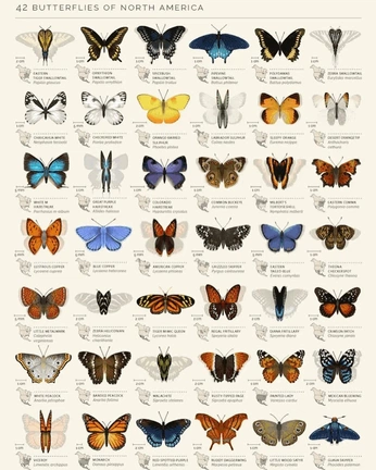 A cover of "Hideaway" cluster. The owner is kalebmikeska. The cluster consists of 153 elements.