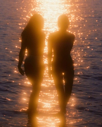 A cover of "human" cluster. The owner is meghanswidler. The cluster consists of 41 elements.