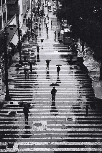 A cover of "yoko matcha cafe" cluster. The owner is gliss.studio. The cluster consists of 30 elements.