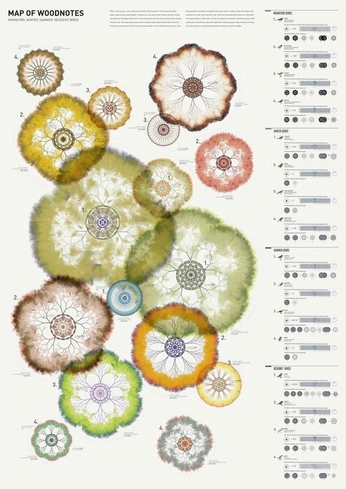 A cover of "Infographie" cluster. The owner is oisseux. The cluster consists of 7 elements.