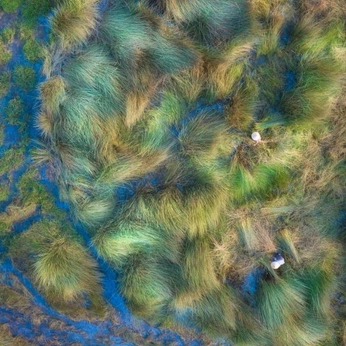 A cover of "høm" cluster. The owner is leihanahmw. The cluster consists of 28 elements.