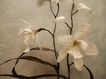 A cover of "like japanes?" cluster. The owner is wmlltt. The cluster consists of 25 elements.