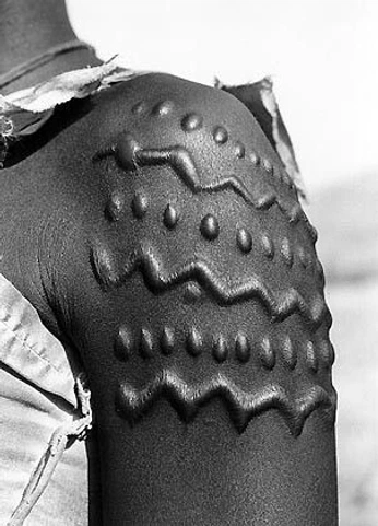 A cover of "cahier formel" cluster. The owner is anarel. The cluster consists of 10 elements.