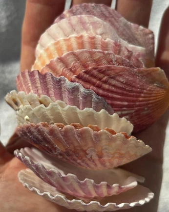 A cover of "Collage" cluster. The owner is clairealysa. The cluster consists of 21 elements.