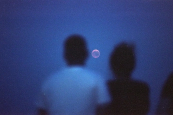 A cover of "Twilight" cluster. The owner is imcarolina. The cluster consists of 13 elements.