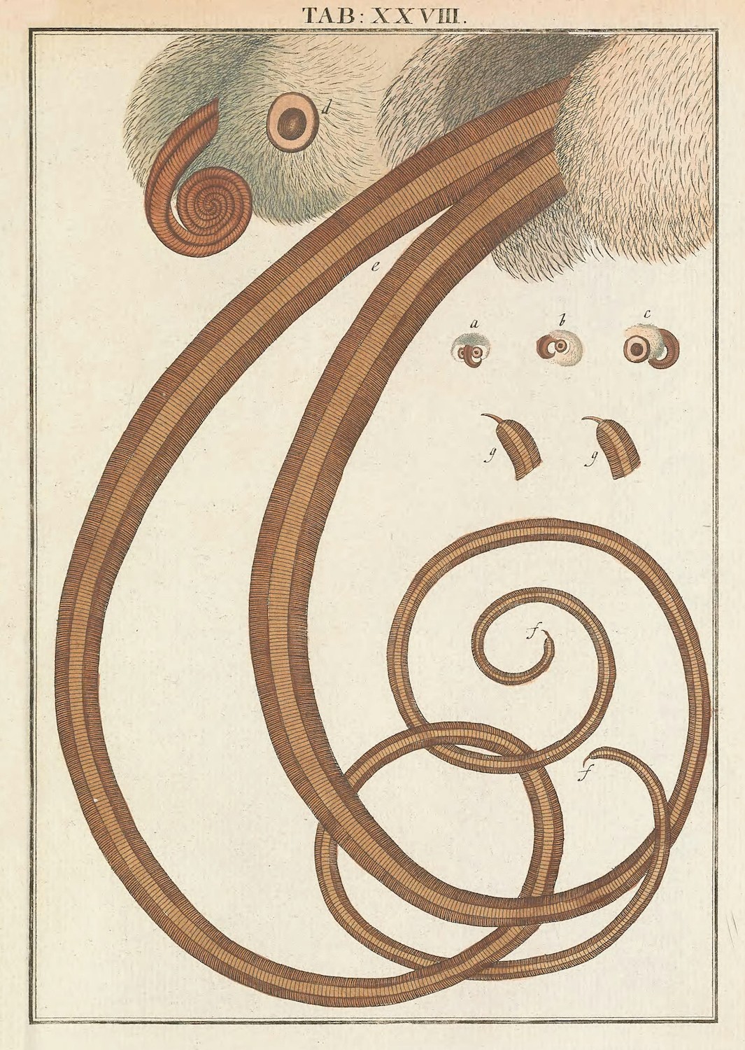 f6987c5a-4dc8-4da3-9530-620af5491810