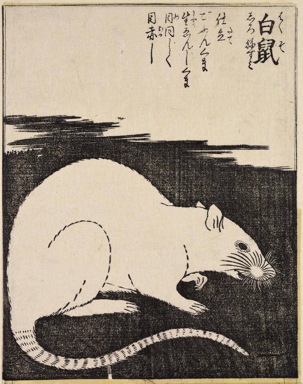 An image added by cosmos on Jul 09, 2024. May present: japanese rat print, rat, edo period, japanese art, art.